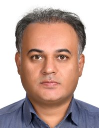 Photo of Vahid Anari