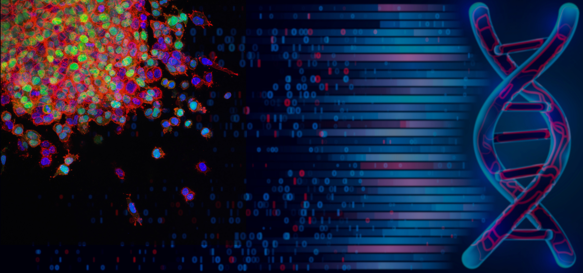 Composite image of tumor cells, sequencing data and a DNA double helix