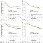 An explorative analysis of ABCG2/TOP-1 mRNA expression as a biomarker test for FOLFIRI treatment in stage III colon cancer patients: results from retrospective analyses of the PETACC-3 trial