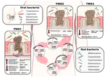 Colorectal tumour mucosa microbiome is enriched in oral pathogens and defines three subtypes that correlate with markers of tumour progression