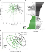 Vegan Diet Is Associated With Favorable Effects on the Metabolic Performance of Intestinal Microbiota: A Cross-Sectional Multi-Omics Study