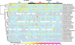 Enrichment of human nasopharyngeal bacteriome with bacteria from dust after short-term exposure to indoor environment: a pilot study