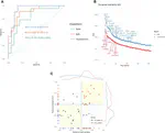 An invasion front gene expression signature for higher-risk patient selection in stage IIA MSS colon cancer