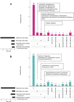 Impact of intrapartum antibiotic prophylaxis on the oral and fecal bacteriomes of children in the first week of life