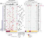 Search for Mutations Connected With Non-Response to Anti-EGFR Therapy in mCRC in the Morphologically Defined Regions of Primary Tumours