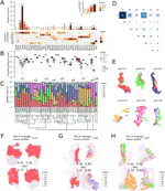 A quantitative tumor-wide analysis of morphological heterogeneity of colorectal adenocarcinoma